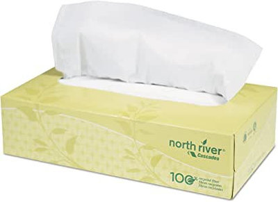 4082 NORTH RIVER FACIAL TISSUE